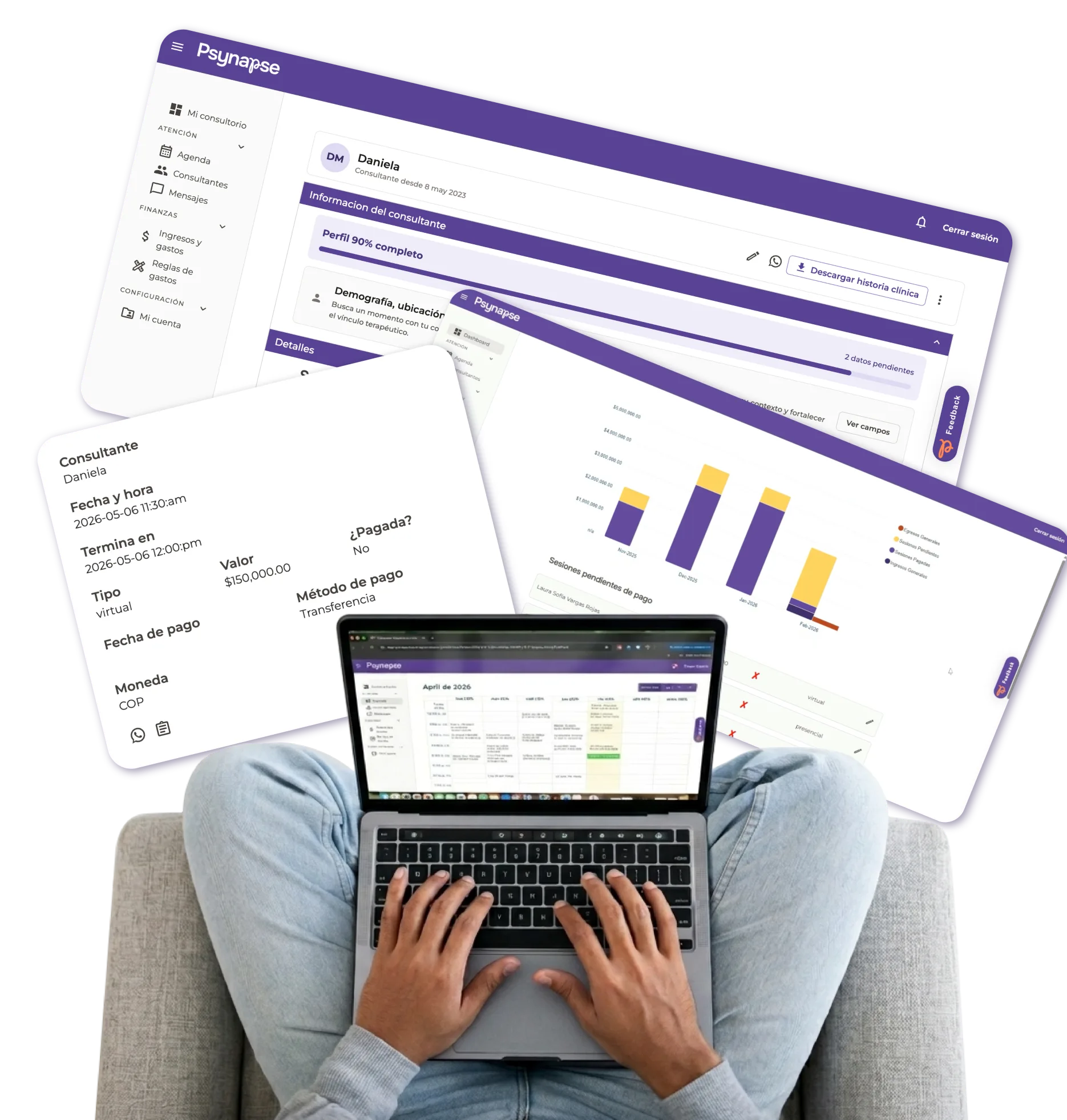 Psynapse en uso: agenda, perfil del consultante y reportes financieros